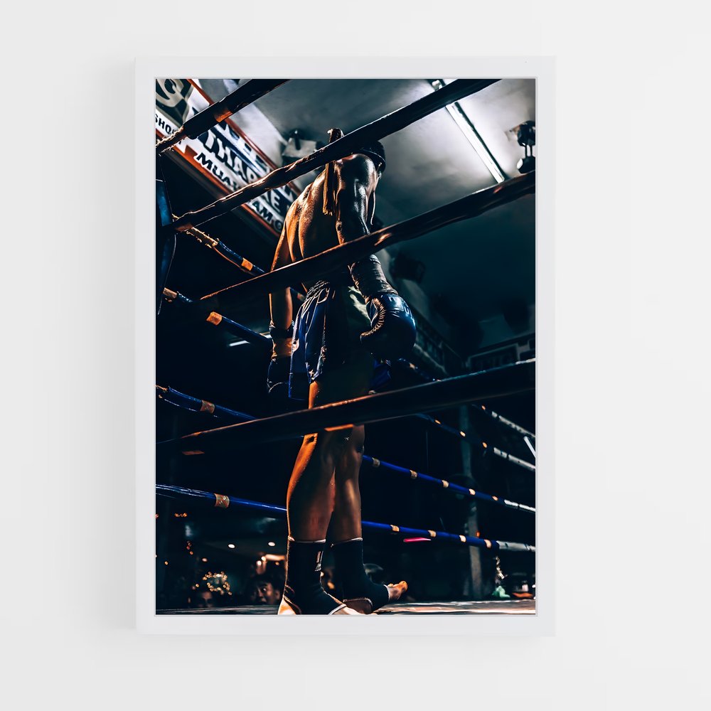 Poster Muay thai (vue 3)